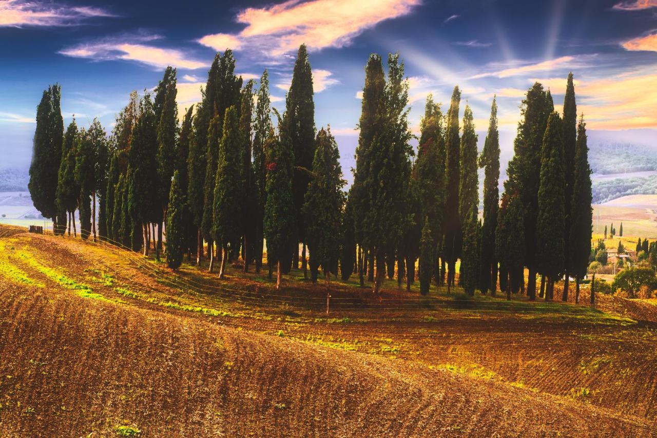 Podere Pietreta Radicofani Buitenkant foto